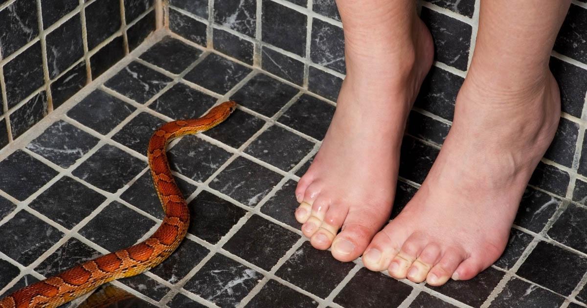 Fobia Social Ajuda: Superando Desafios e Vencendo a Ansiedade